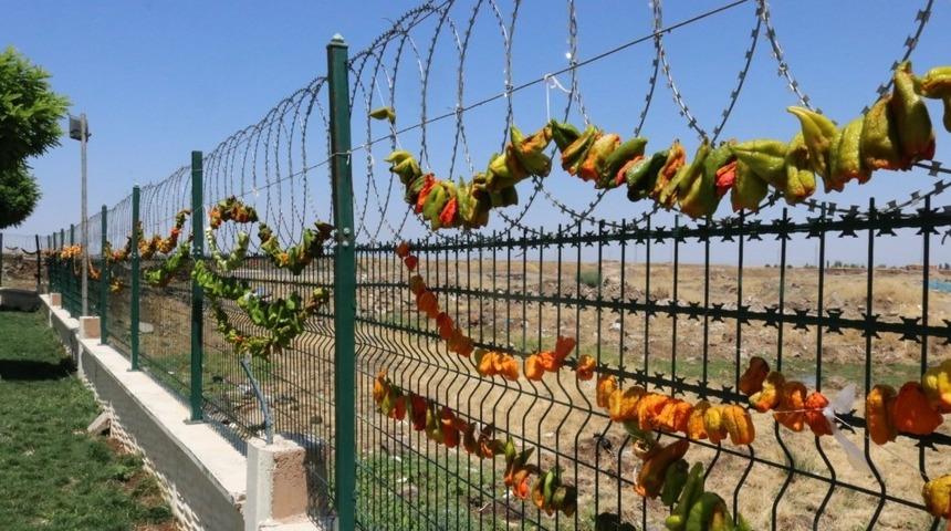 Diyarbakır&rsquo;da kurutulan biberler renkli kareler oluşturdu