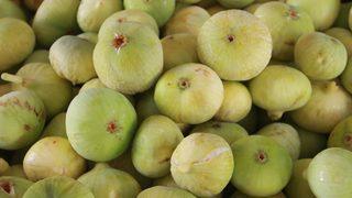 Kilosu 6 liradan satılıyor