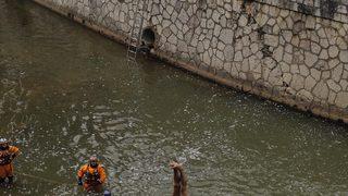 Saraybosna'da 5. Bentbasa Uçurum Dalışları