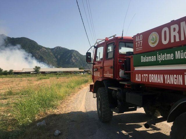 Dalyan’daki yangına havadan karadan müdahale ediliyor