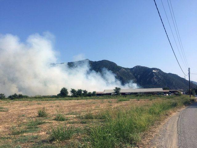 Dalyan’daki yangına havadan karadan müdahale ediliyor