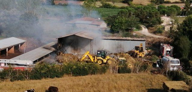 Çanakkale’deki yangın kontrol altına alındı