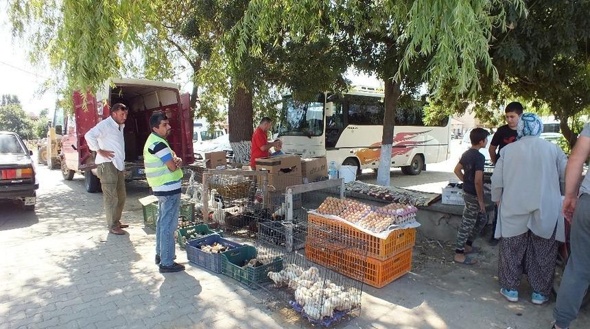 Pazaryeri’nde tavuk pazarı sorunu çözüldü