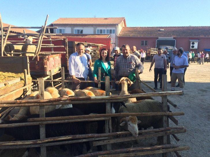 Başkan Tekin ilçede kurulan hayvan pazarını denetledi. G2