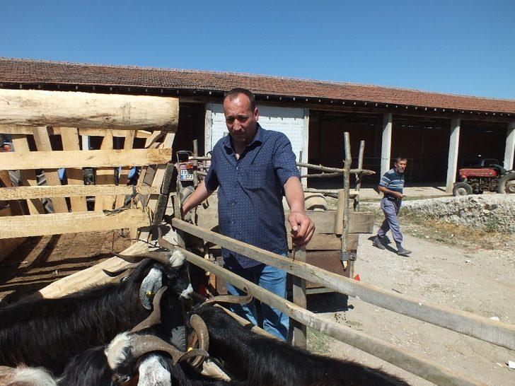 Başkan Tekin ilçede kurulan hayvan pazarını denetledi. G4