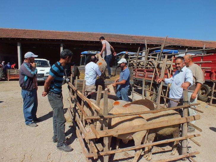 Başkan Tekin ilçede kurulan hayvan pazarını denetledi. G5