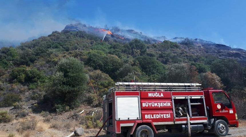 Datça’da 5 dönüm makilik alan yandı