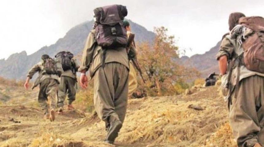 Hakkari'de 25 yıl önce PKK'ya katılan 2 terörist, ikna çalışmasıyla teslim oldu