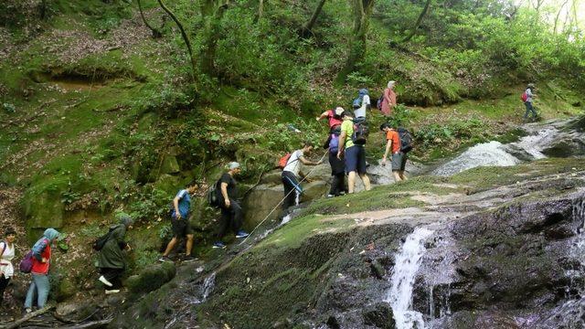 Doğa severlerin yeni rotası, Nüzhetiye Şelalesi