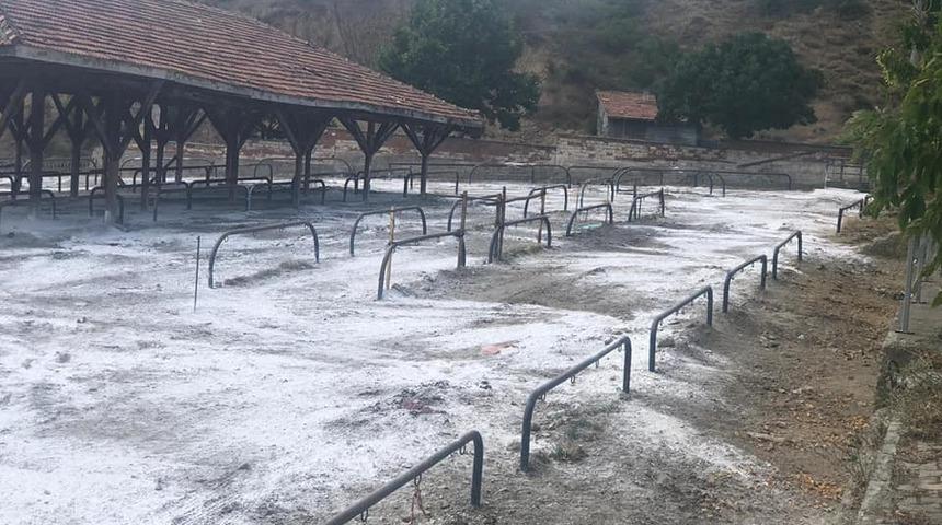 Tosya Belediyesinden hayvan pazarında hastalık tedbiri