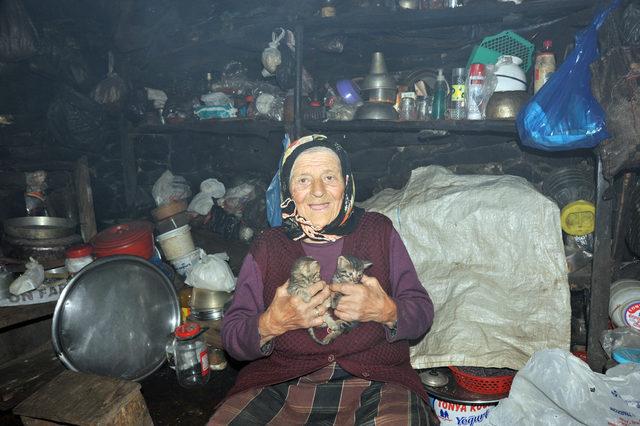  Robinson Nine nin ayılarla başı dertte 2