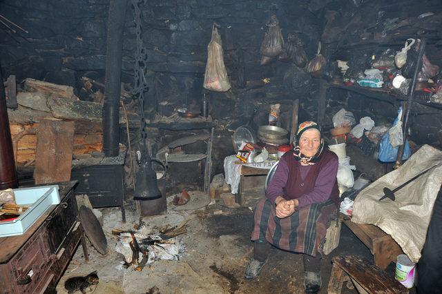  Robinson Nine nin ayılarla başı dertte 3