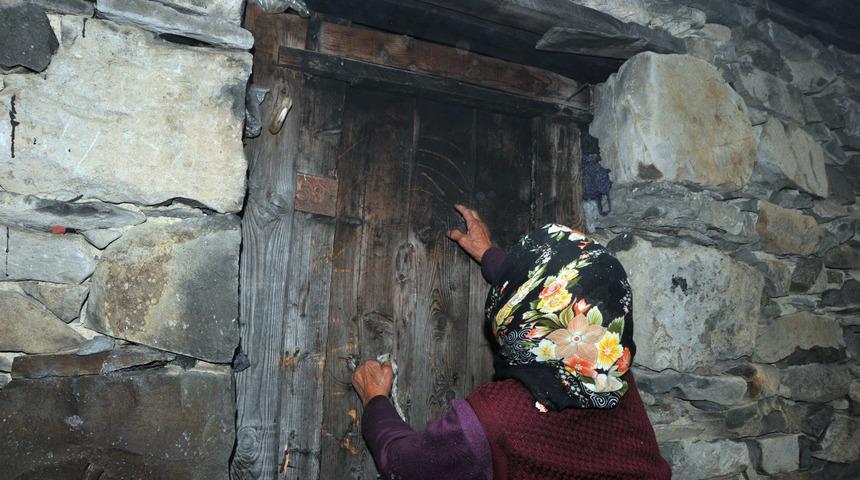 'Robinson Nine'nin ayılarla başı dertte