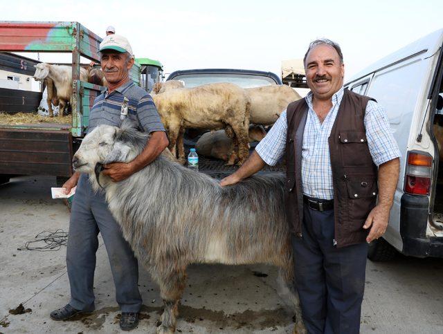 Edirne'de, kurban pazarında yoğunluk