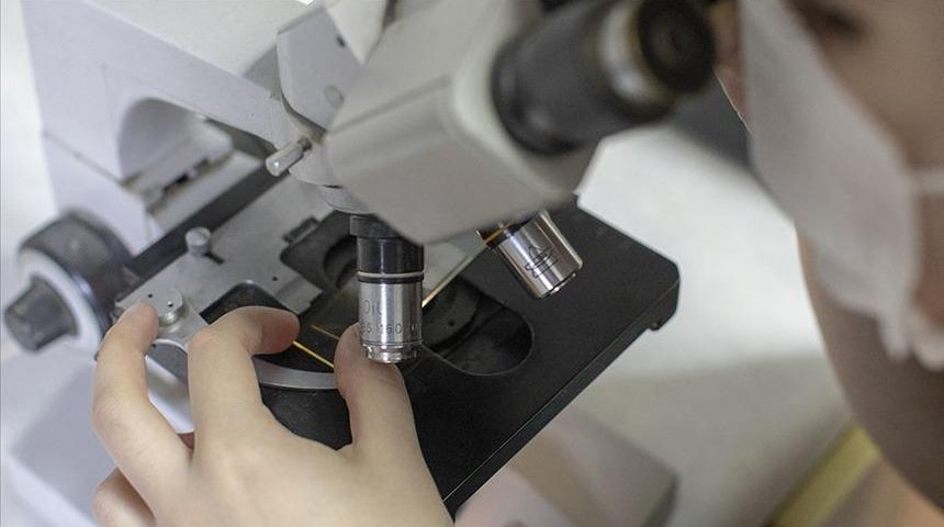 T&uuml;rk bilim insanları 4 &ouml;l&uuml;mc&uuml;l vir&uuml;s buldu