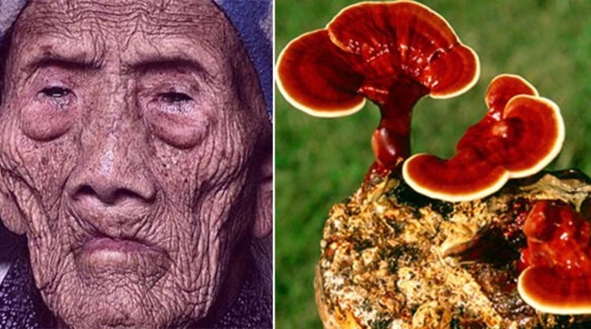 256 Yıl Yaşayarak Herkesi Şaşkına &Ccedil;eviren Adamın Yaşam Sırları!