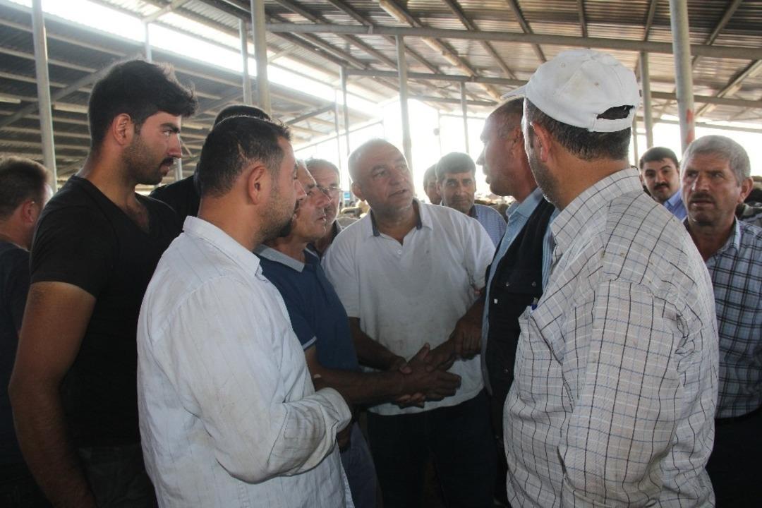 Şuhut Hayvan Borsası&rsquo;nda kurban pazarı hareketliliği