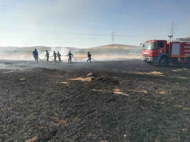 Mardin’de anız yangınında mısır ekili tarla zarar gördü