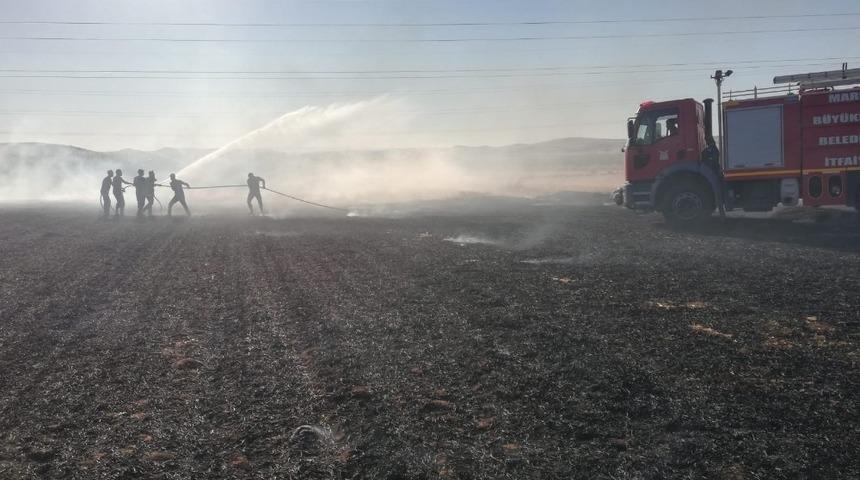 Mardin’de anız yangınında mısır ekili tarla zarar gördü