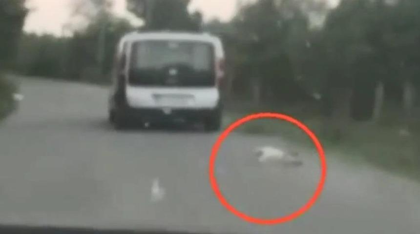 Aracına bağladığı köpeği sürükledi, savunması şoke etti