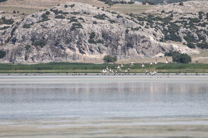 Flamingoların vazgeçilmez durağı Yarışlı Gölü doğaseverlerin gözdesi G2