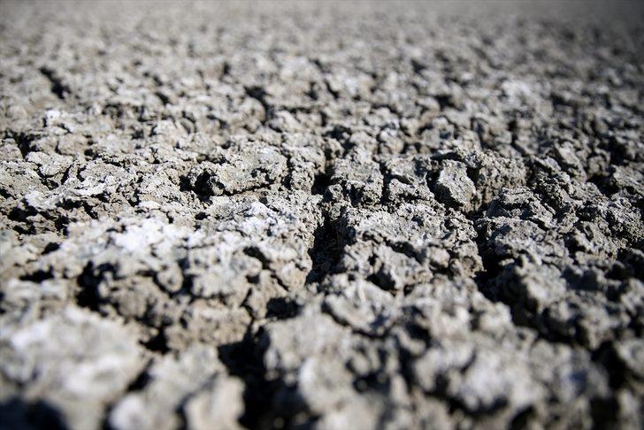 Flamingoların vazgeçilmez durağı Yarışlı Gölü doğaseverlerin gözdesi G3