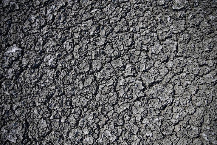 Flamingoların vazgeçilmez durağı Yarışlı Gölü doğaseverlerin gözdesi G4