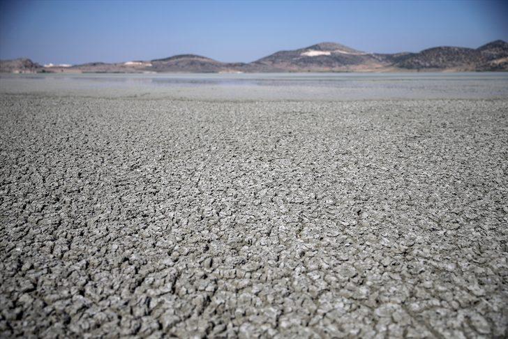 Flamingoların vazgeçilmez durağı Yarışlı Gölü doğaseverlerin gözdesi G5