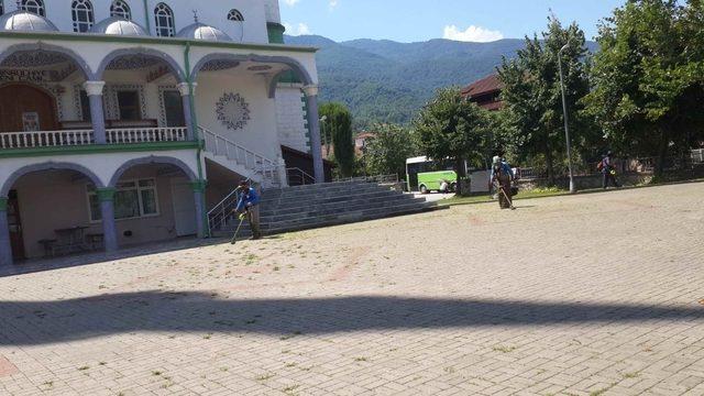 Kartepe´de kurban yakalama timi göreve başladı