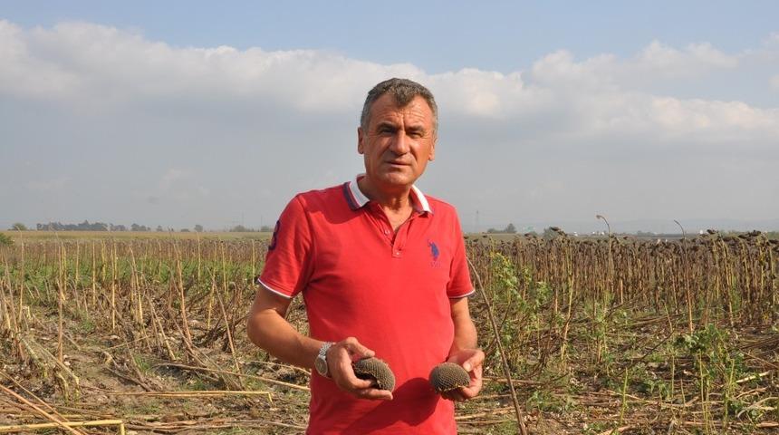 &Uuml;retici TMO&rsquo;nun ay&ccedil;i&ccedil;eği de almasını istiyor