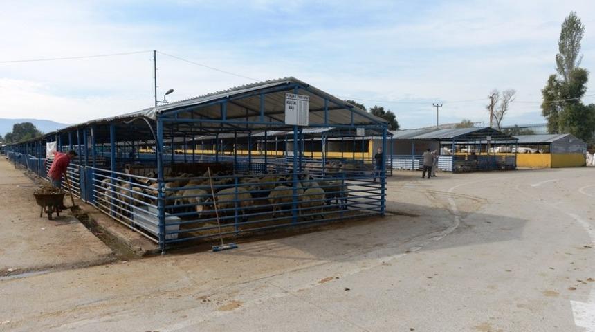 Nil&uuml;fer&rsquo;de Kurban Bayramı hazırlıkları tamam