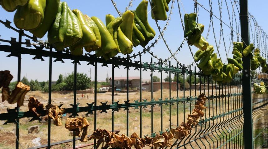 Diyarbakır'da kurutulan biberler renkli kareler oluşturdu