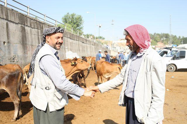 Diyarbakır'da kurbanlıklara bakan çok, alan az