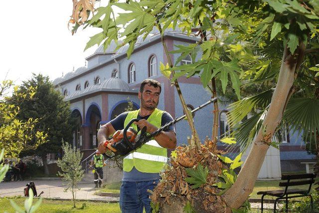 Döşemealtı Belediyesinden Kurban Bayramı hazırlıkları