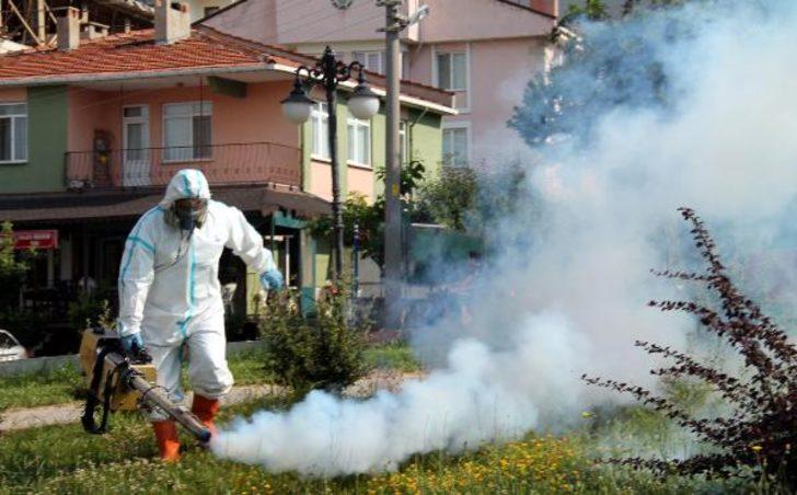 Edirne'de sinek istilası!  G3