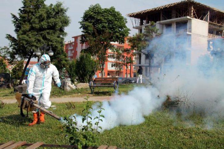 Edirne'de sinek istilası!  G4