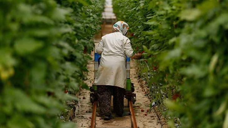 41 ülke sıraya girdi! Maldivlere bile gönderiliyor G1