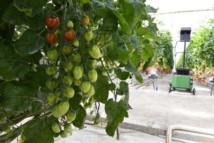 41 ülke sıraya girdi! Maldivlere bile gönderiliyor G2