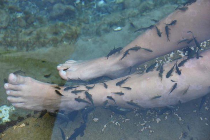 Sivas'taki dünyaca ünlü balıklı kaplıca yerli ve yabancı herkesin ilgisini çekiyor G2