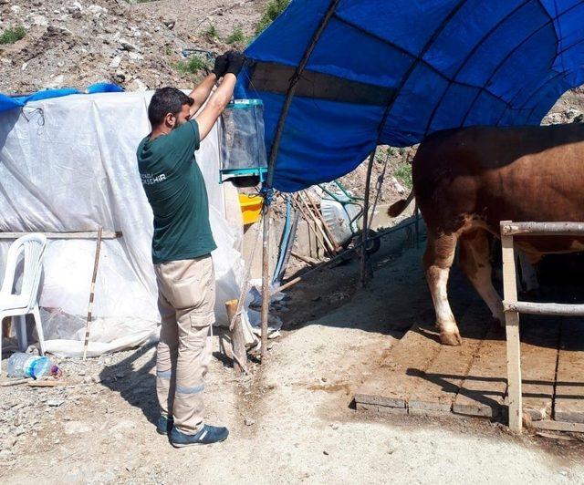 Kocaeli’de kurban satış yerleri ilaçlanıyor