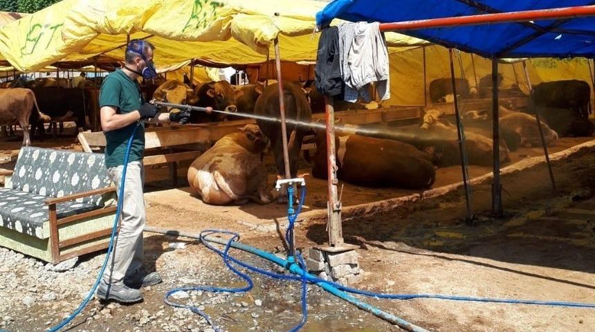 Kocaeli&rsquo;de kurban satış yerleri ila&ccedil;lanıyor