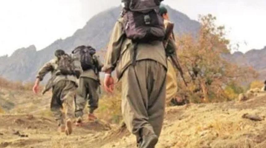 AK Parti'li meclis üyesi ve yeğenini şehit eden terörist Kobani eylemlerini yönetmiş