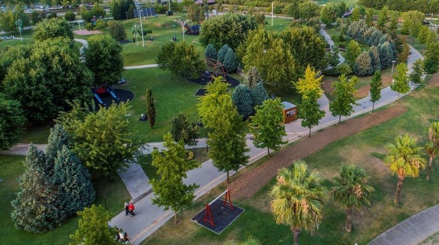 B&uuml;y&uuml;kşehir 15 yılda 100 bin &ccedil;ınar ağacı dikti