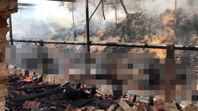 Arnavutköy'de yangın çıkan ahırda 10 büyükbaş telef oldu (1)