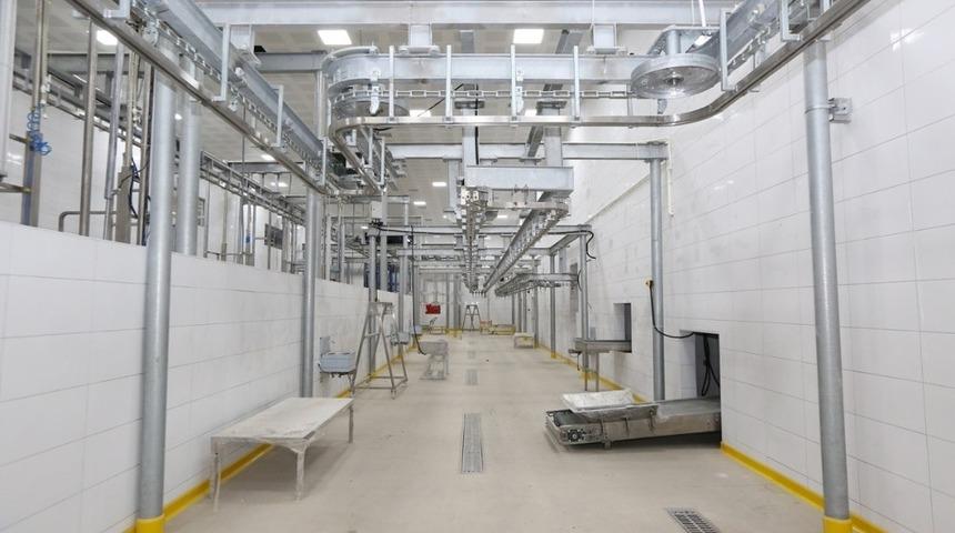 Fatsa Hayvan Pazarı ve Mezbahası g&uuml;n sayıyor