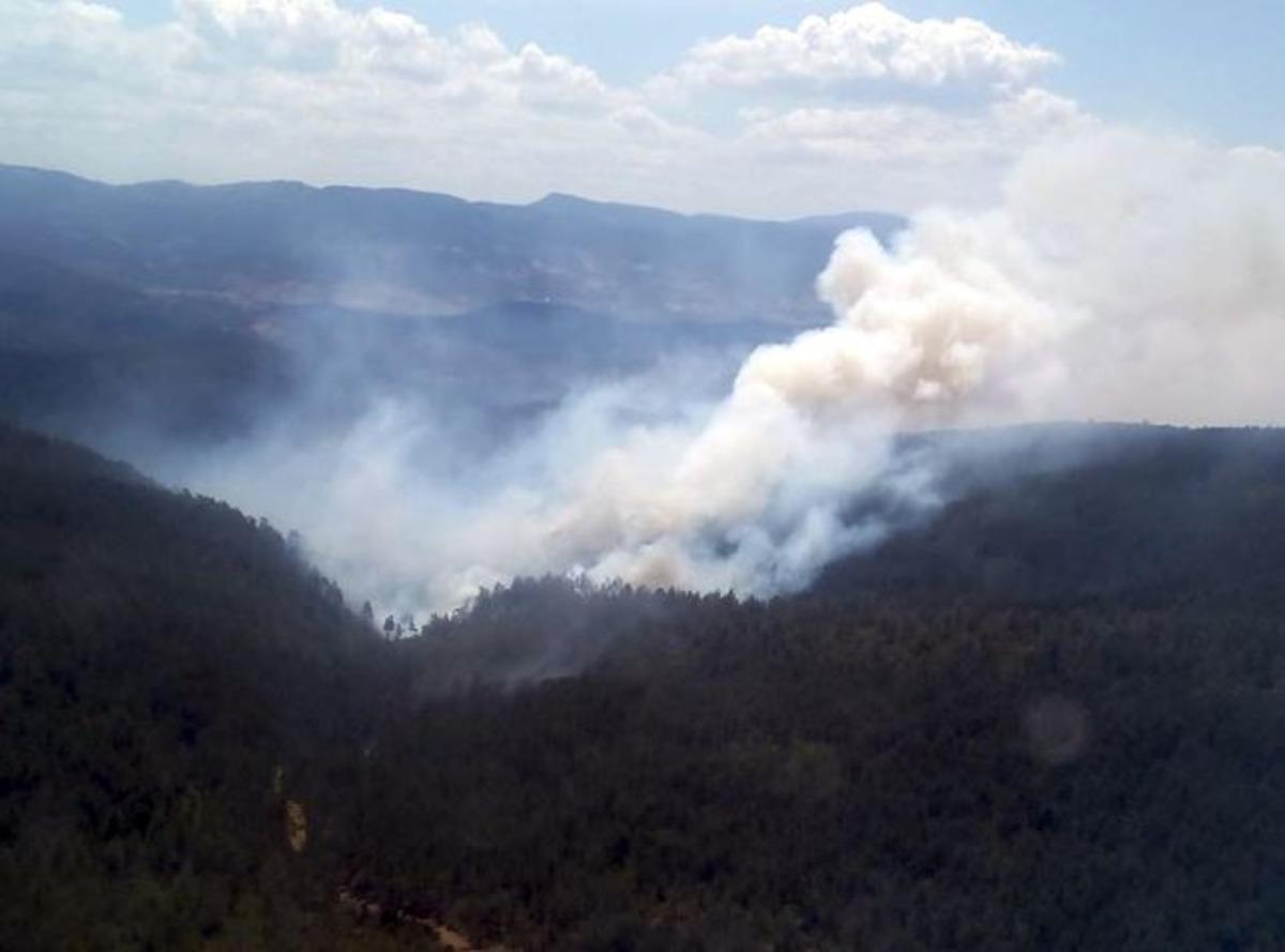 Son dakika! Bursa'da orman yangını! AFAD herkesten destek istedi