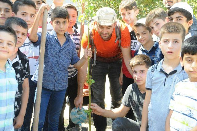 Gezgin Oldu Il Il Gezip Fidan Dikiyor