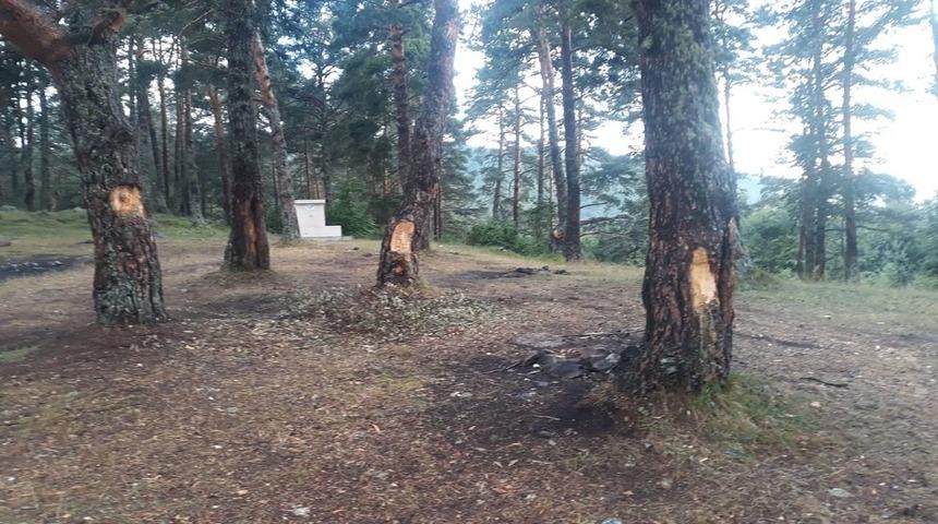 Pikniğe giden vatandaşlar gördükleri manzara ile şok oldu