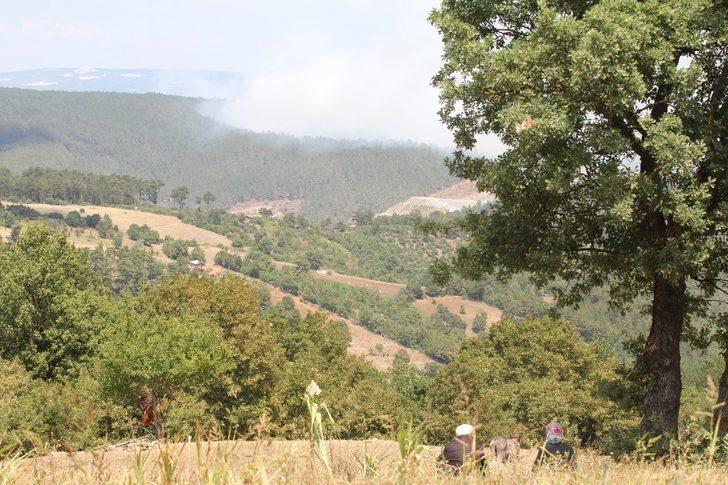 Son dakika! Bursa'da orman yangını! AFAD herkesten destek istedi G5