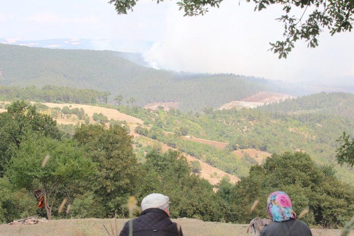 Son dakika! Bursa'da orman yangını! AFAD herkesten destek istedi G4